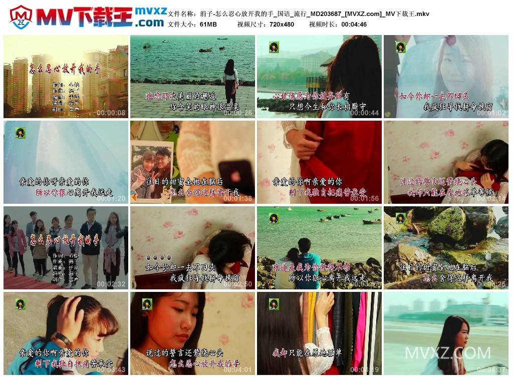 涓子-怎么忍心放开我的手_国语_流行_MD203687